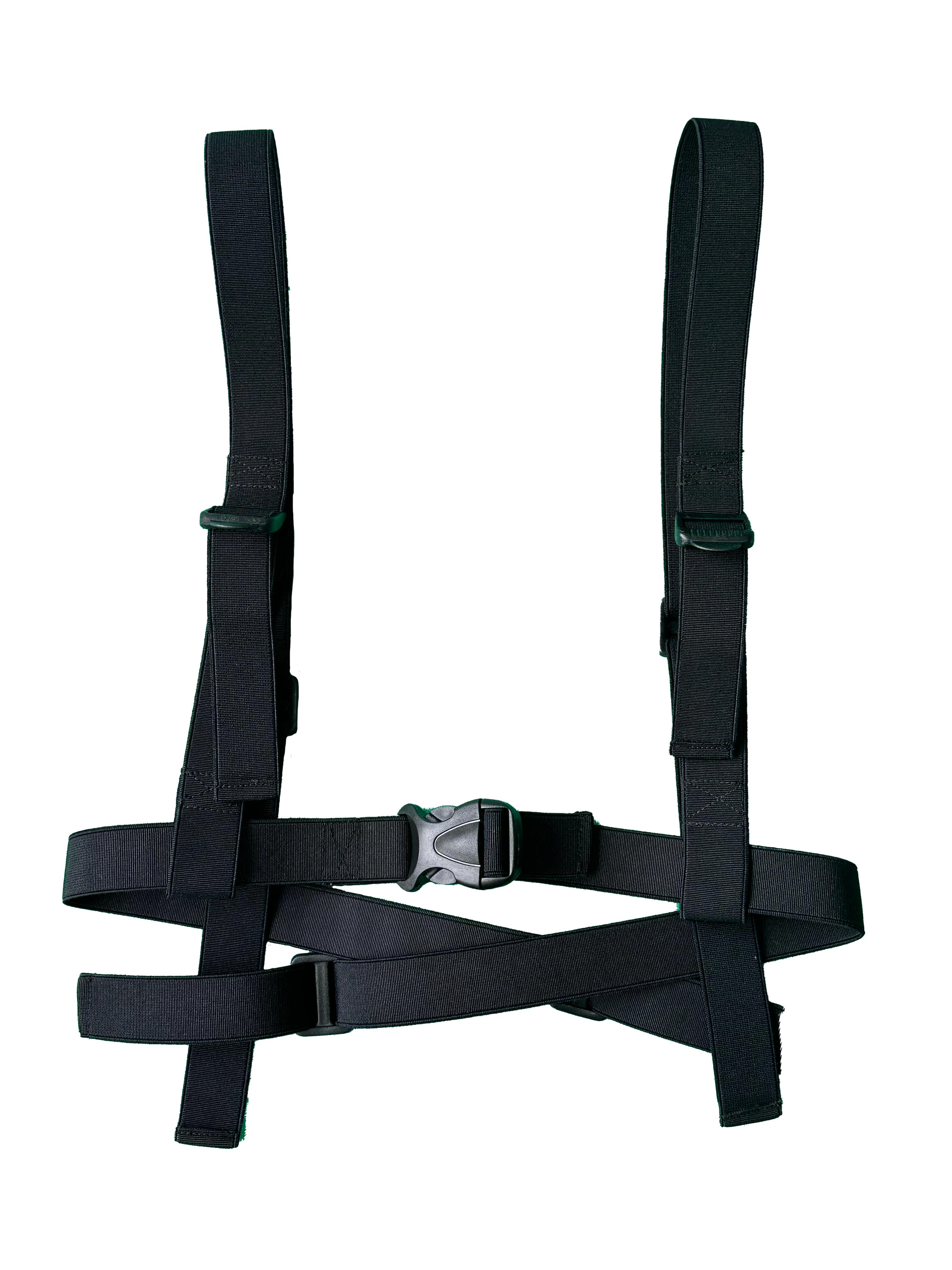 Arnes para Bigo 3.0